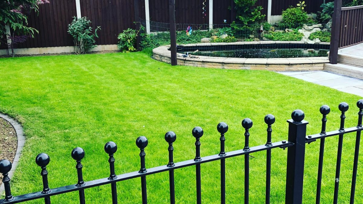 Enhance Your Lawn with Rainwater Harvesting