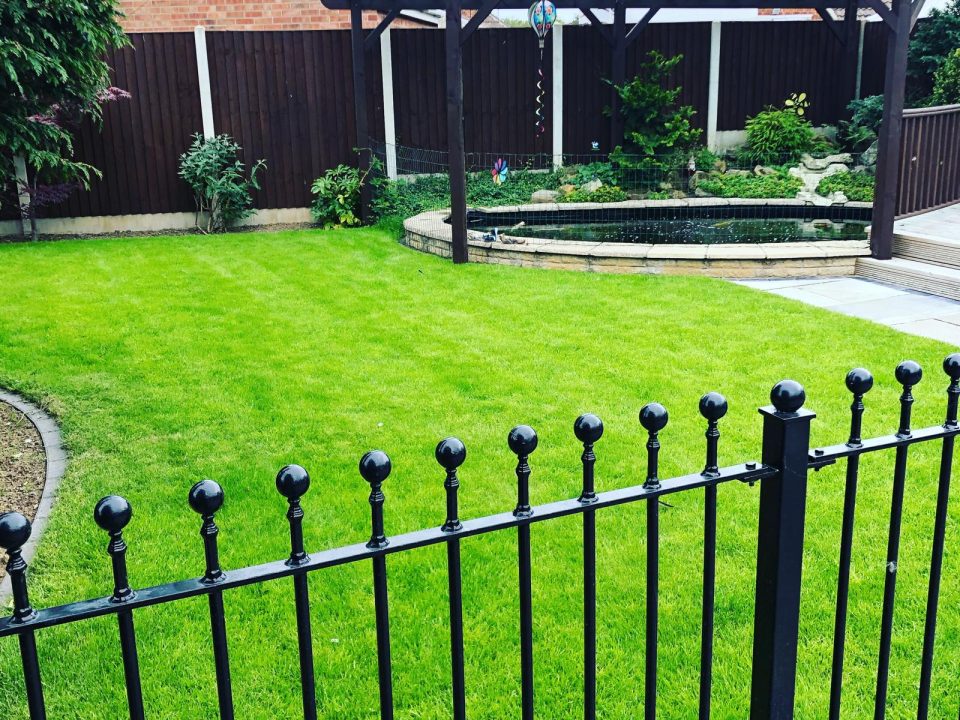 Enhance Your Lawn with Rainwater Harvesting